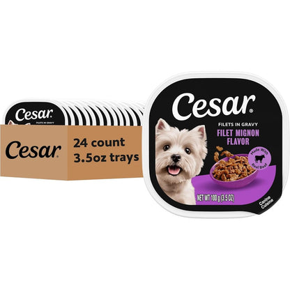 Cesar Filets In Gravy Adult Wet Dog Food Filet Mignon Flavor 3.5 Ounce Trays 24 Count Pack Of 1 For Small Dogs Complete And Balanced Nutrition