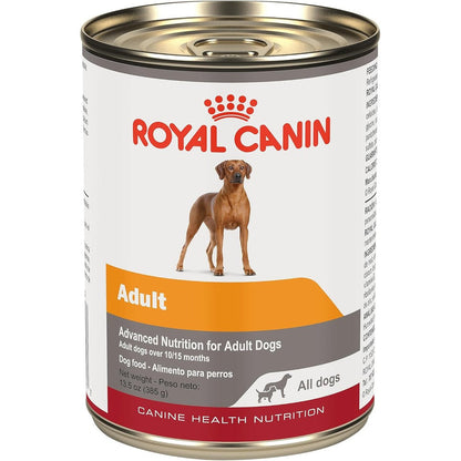 Royal Canin Canine Health Nutrition Adult In Gel Wet Dog Food Formulated For Skin And Coat Health 13.5 Ounce Canned Pack Of 12