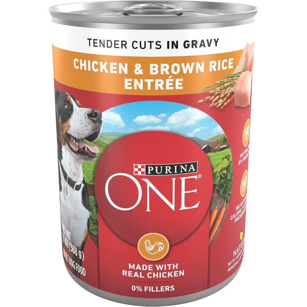 Purina ONE Natural High Protein Adult Wet Dog Food Tender Cuts In Gravy Chicken And Brown Rice Entree 13 Ounce Pack Of 12