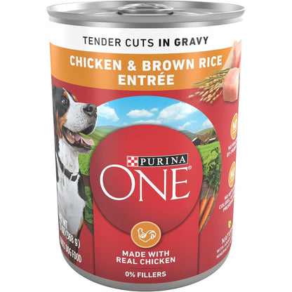 Purina ONE Natural High Protein Adult Wet Dog Food Tender Cuts In Gravy Chicken And Brown Rice Entree 13 Ounce Pack Of 12