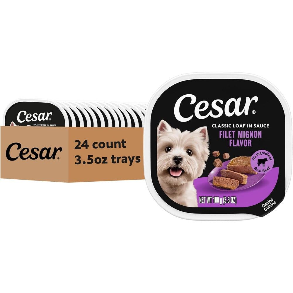 Cesar Classic Loaf In Sauce Adult Wet Dog Food Filet Mignon Flavor Three Point Five Ounce Easy Peel Trays Twenty Four Count Pack Of One