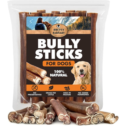 BRUTUS & BARNABY 6 Inch Bully Sticks for Dogs 12 Count Thick Grass Fed Beef Pizzle Sticks Odor Free Natural Dog Chews Rawhide Free