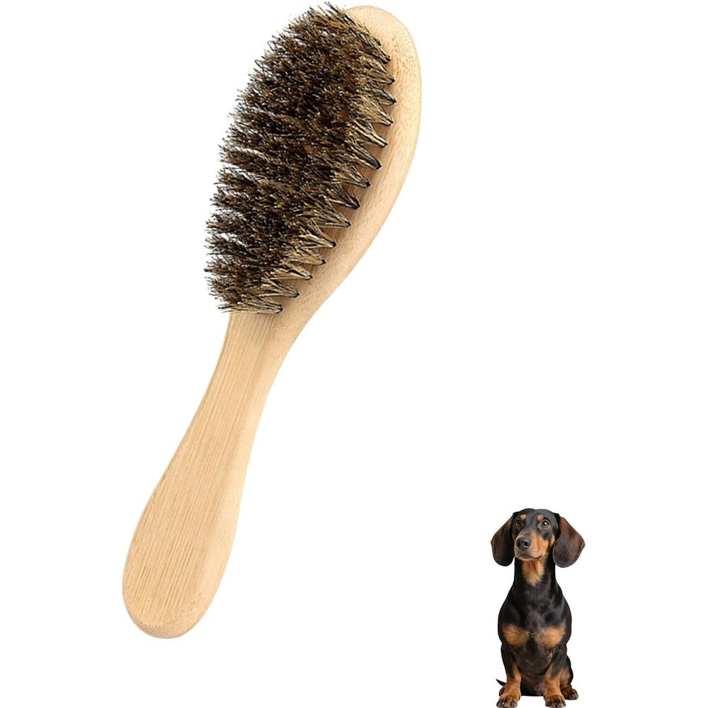PetJoyHaven Soft Boar Bristle Dog Brush For Short Haired Breeds Gentle Deshedding And Grooming Tool For Puppies Wooden Handle Small Size