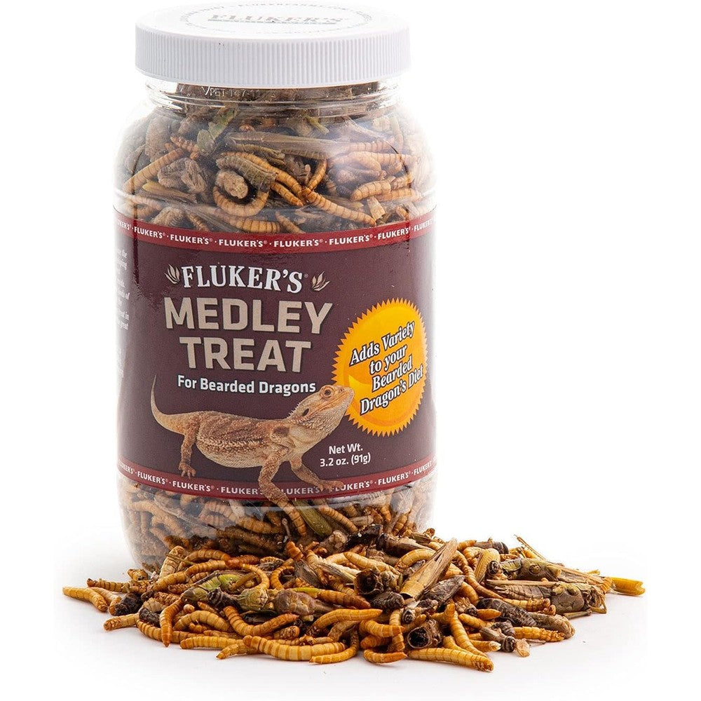 Fluker's bearded dragon medley treat front view container