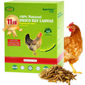Amzey dried black soldier fly larvae front view packaging