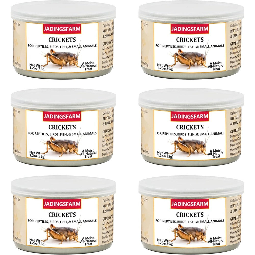 Jadingsfarm canned crickets front view high protein pet food.