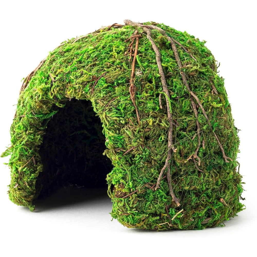 Galapagos mossy dome hide front view in green color