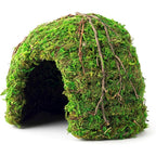 Galapagos mossy dome hide front view in green color