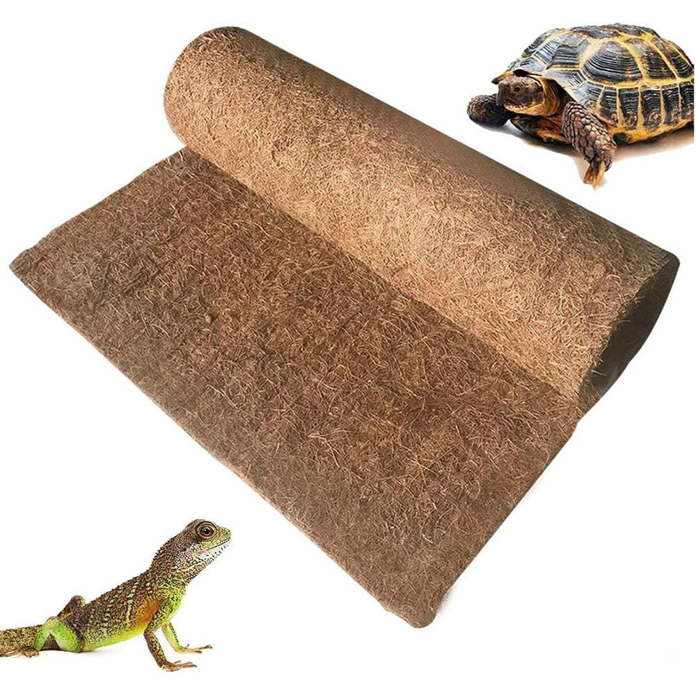 Hamiledyi reptile carpet front view showing coconut fiber texture.