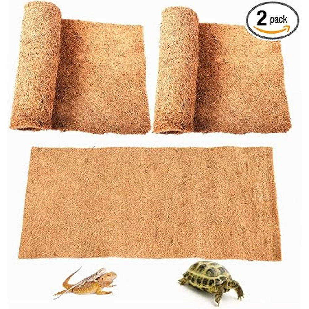 Sisipai Life reptile carpet front view