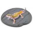 Ackeivto Reptile Basking Platform Diatomaceous Earth Slate Rock Feeding Dish Tortoise Bathing Resting Terrace Habitat Accessory, Six Inches By Six ...