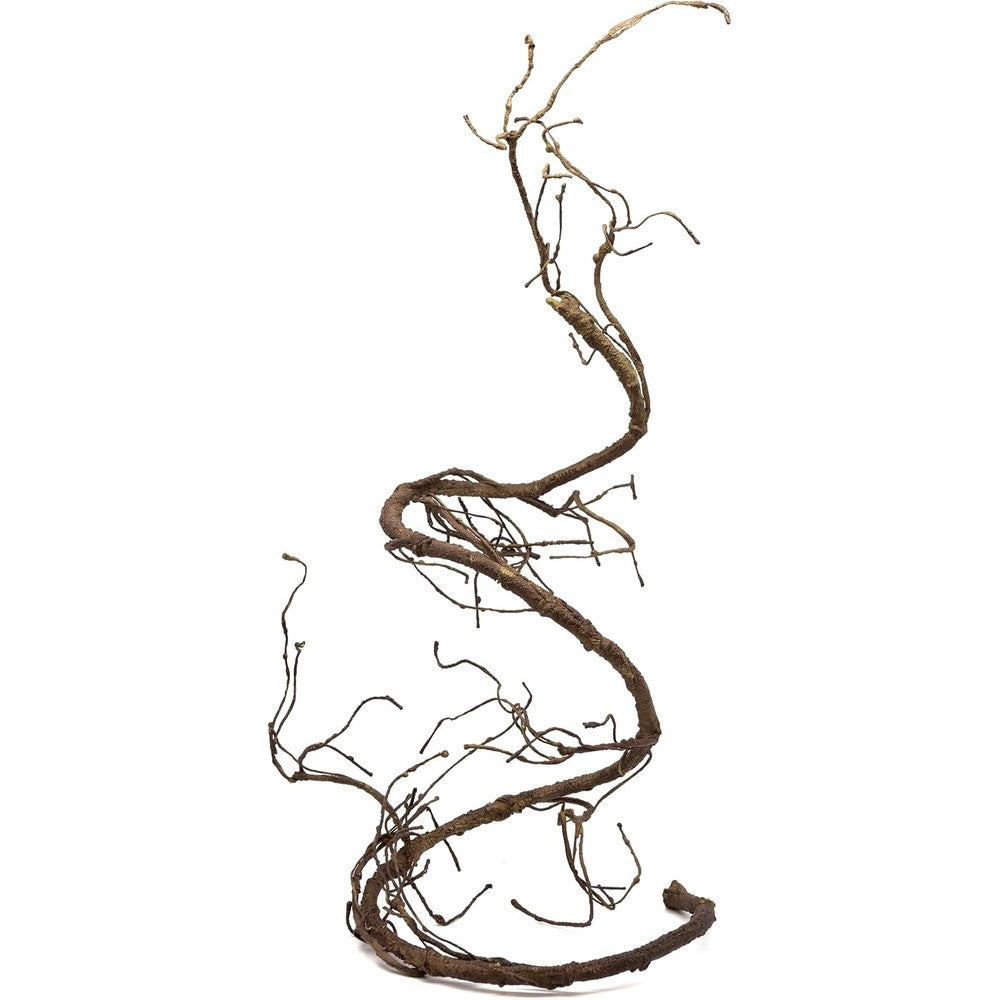 Pangea reptile vine front view showing the brown bendable branch