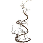Pangea reptile vine front view showing the brown bendable branch