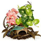 Gluzoo 5 Piece Crested Gecko Tank Decor Kit With Orchid And Artificial Plants Rainforest Terrarium Set Coconut Hide Vine And Leaf Platform For Clim...