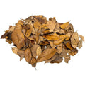 XYZReptiles live oak leaf litter substrate bag front view