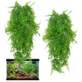 Rainflow artificial Boston fern reptile terrarium plants front view