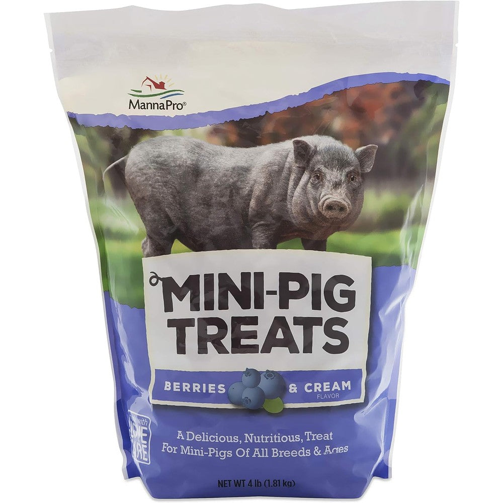 Manna Pro Mini Pig Treats Berries And Cream Flavor Wholesome Training Rewards For All Breeds Four Pounds