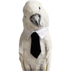 CXYYXF Parrot Bow Tie Necktie Collar Cute Bird Costume Apparel For Medium And Large Parrots Eclectus Cockatoo African Grey One Piece