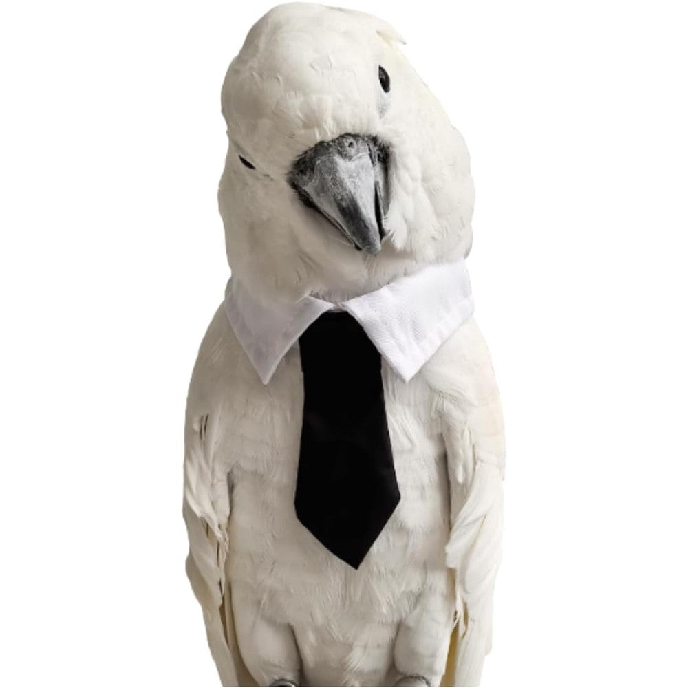 CXYYXF Parrot Bow Tie Necktie Collar Cute Bird Costume Apparel For Medium And Large Parrots Eclectus Cockatoo African Grey One Piece
