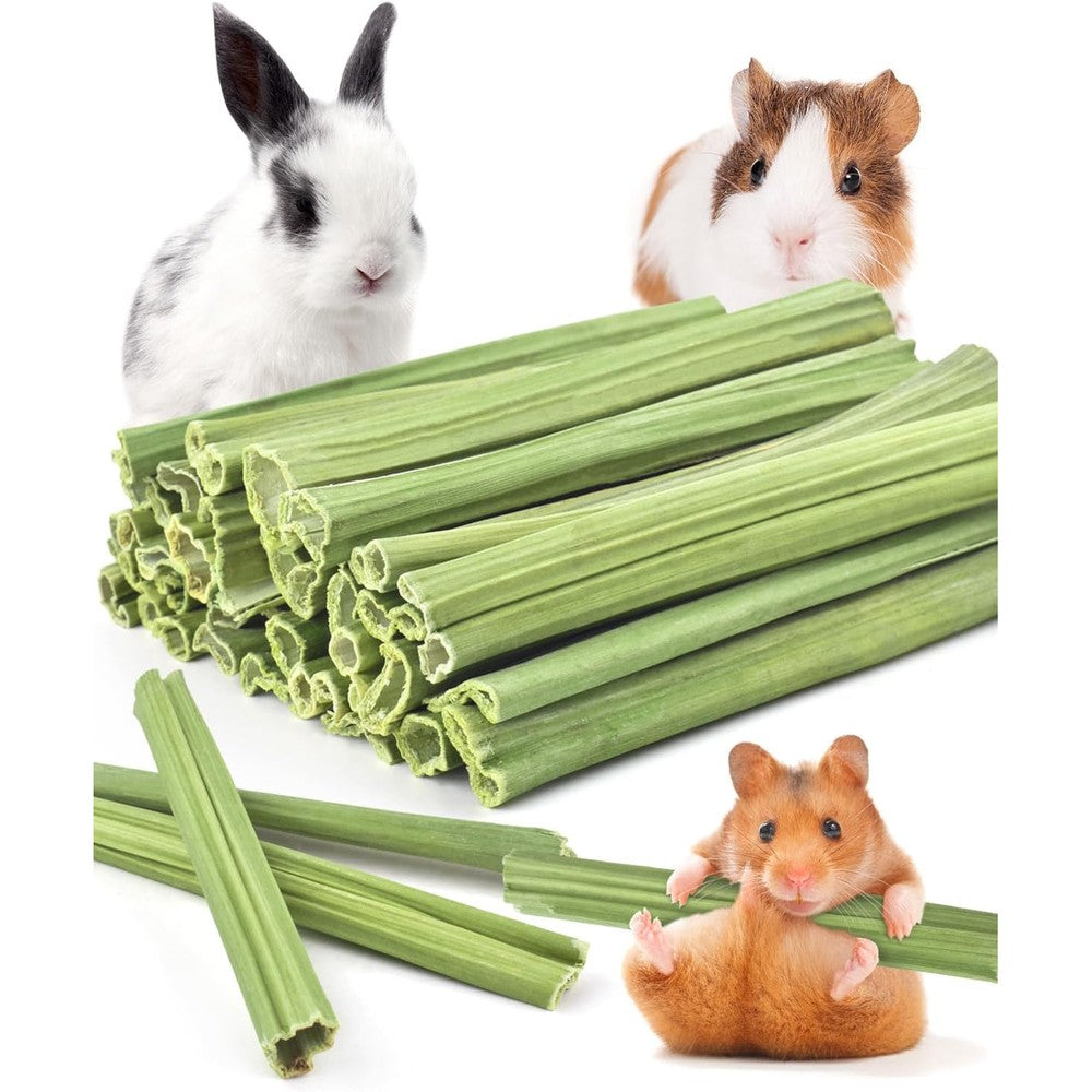 Bissap Natural Papaya Stem Rabbit Chew Sticks For Hamsters Chinchillas Guinea Pigs And Small Animals Organic Dental Molar Snacks Thirty Five Pieces