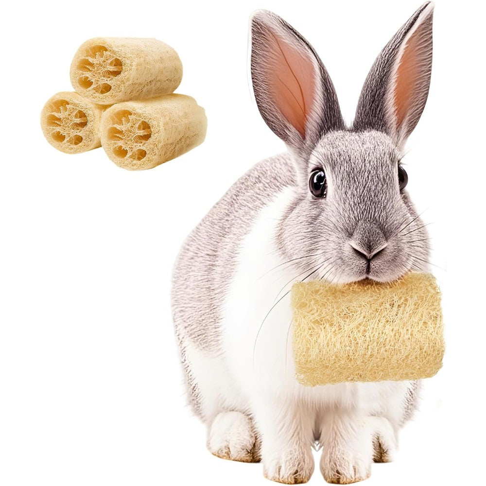 BESNEW 3 Pack Rabbit Chew Toys 100 Percent Natural Additive Free Loofah Fiber Treats For Bunny Chinchilla And Small Pets