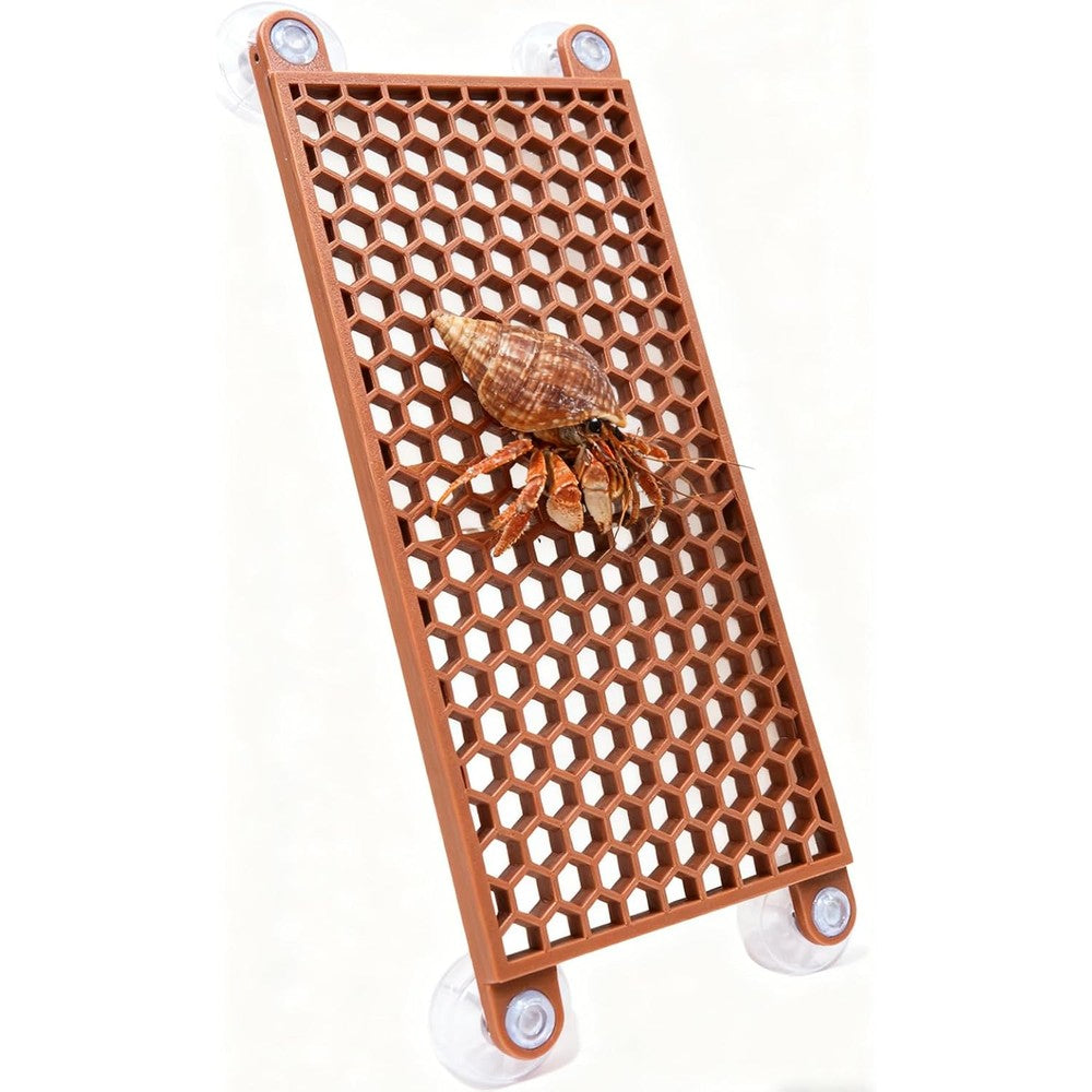 Bolagar Hermit Crab Climbing Toy Reptile Habitat Decor Exercise Playground Ladder Ramp Aquarium Decoration Accessories For Small Pets Brown