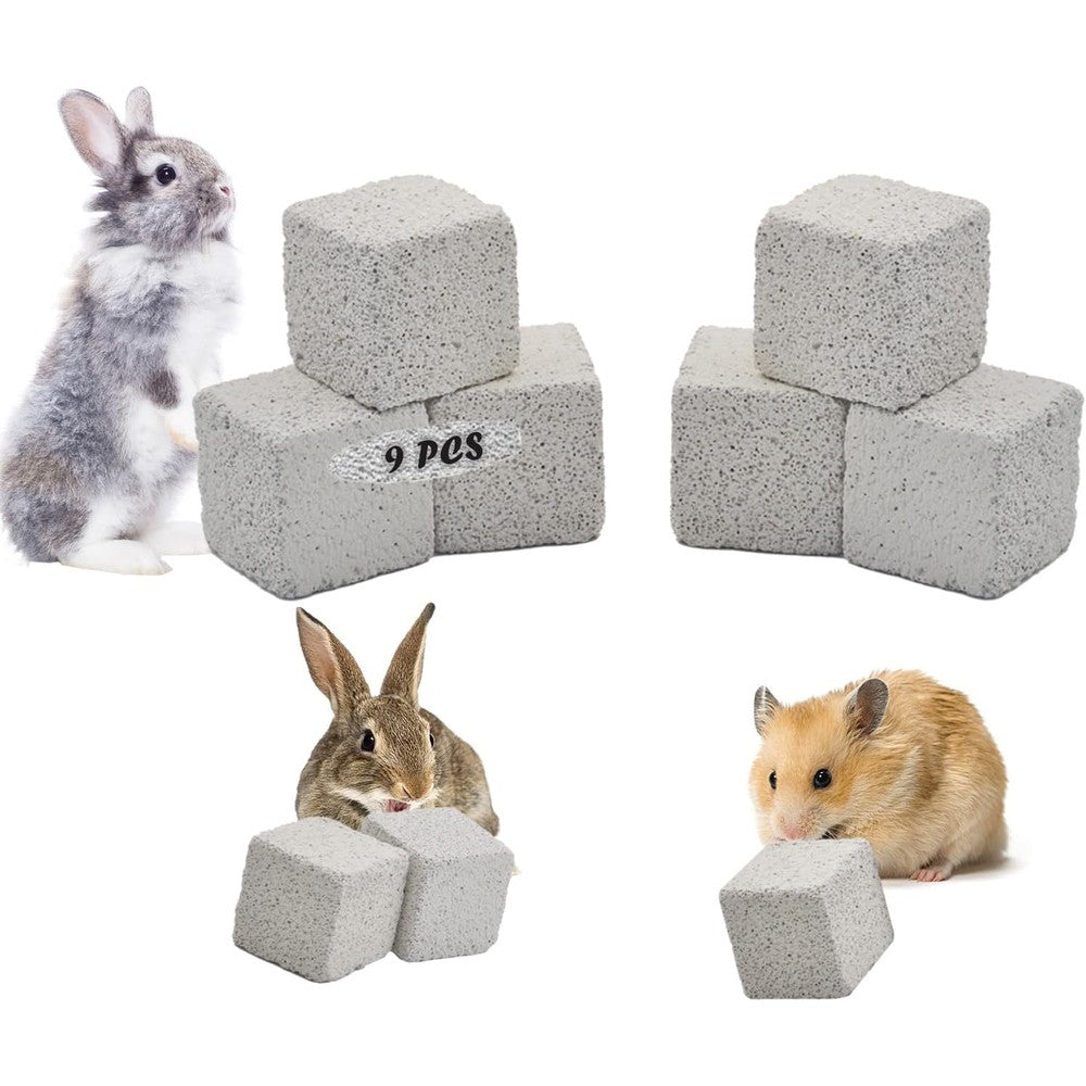 PINVNBY Lava Blocks For Chinchillas And Hamsters Natural Calcium Mineral Teeth Grinding Pumice Stones For Guinea Pigs And Rabbits Nine Pieces