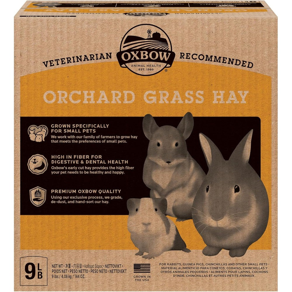 Oxbow Orchard Grass Hay Small Animal Food Forage 9 Pounds