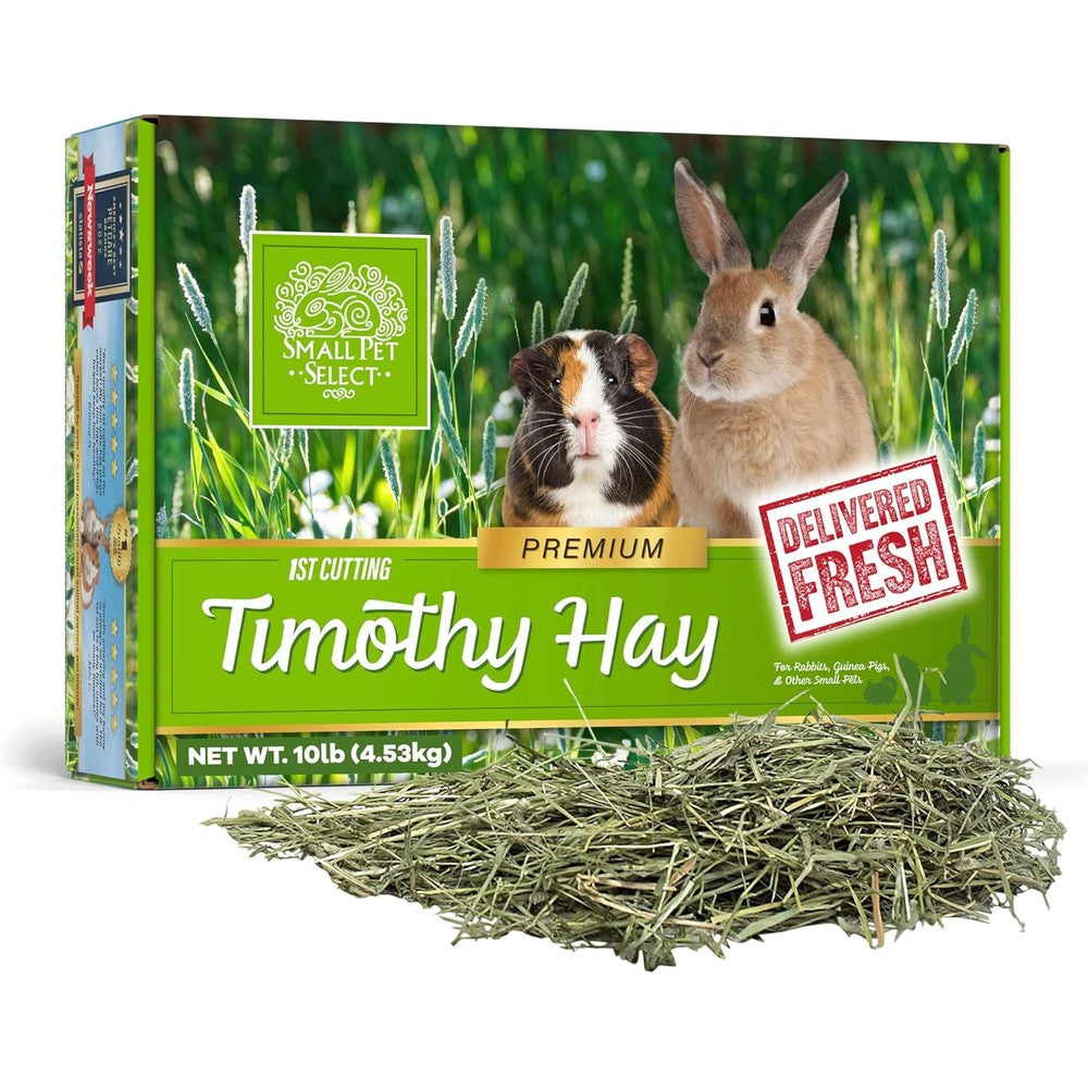 Small Pet Select 1st Cutting High Fiber Timothy Hay Pet Food For Rabbits And Guinea Pigs 10 Pound Box