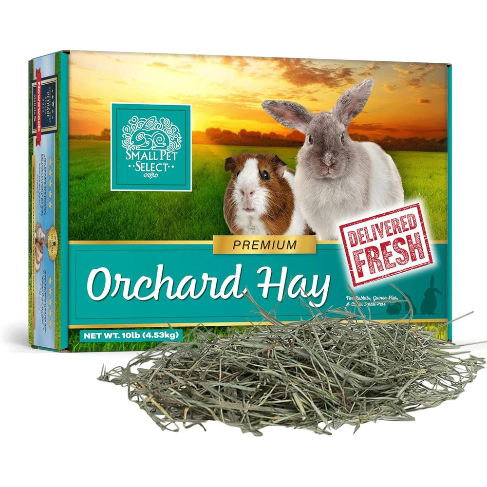 Small Pet Select Orchard Grass Hay Pet Food For Rabbits Guinea Pigs And Chinchillas 10 Pounds