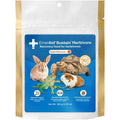 EMERAID Sustain Herbivore Nutritionally Complete Recovery Food Apple And Banana Flavor For Small Pets And Reptiles 100 Grams