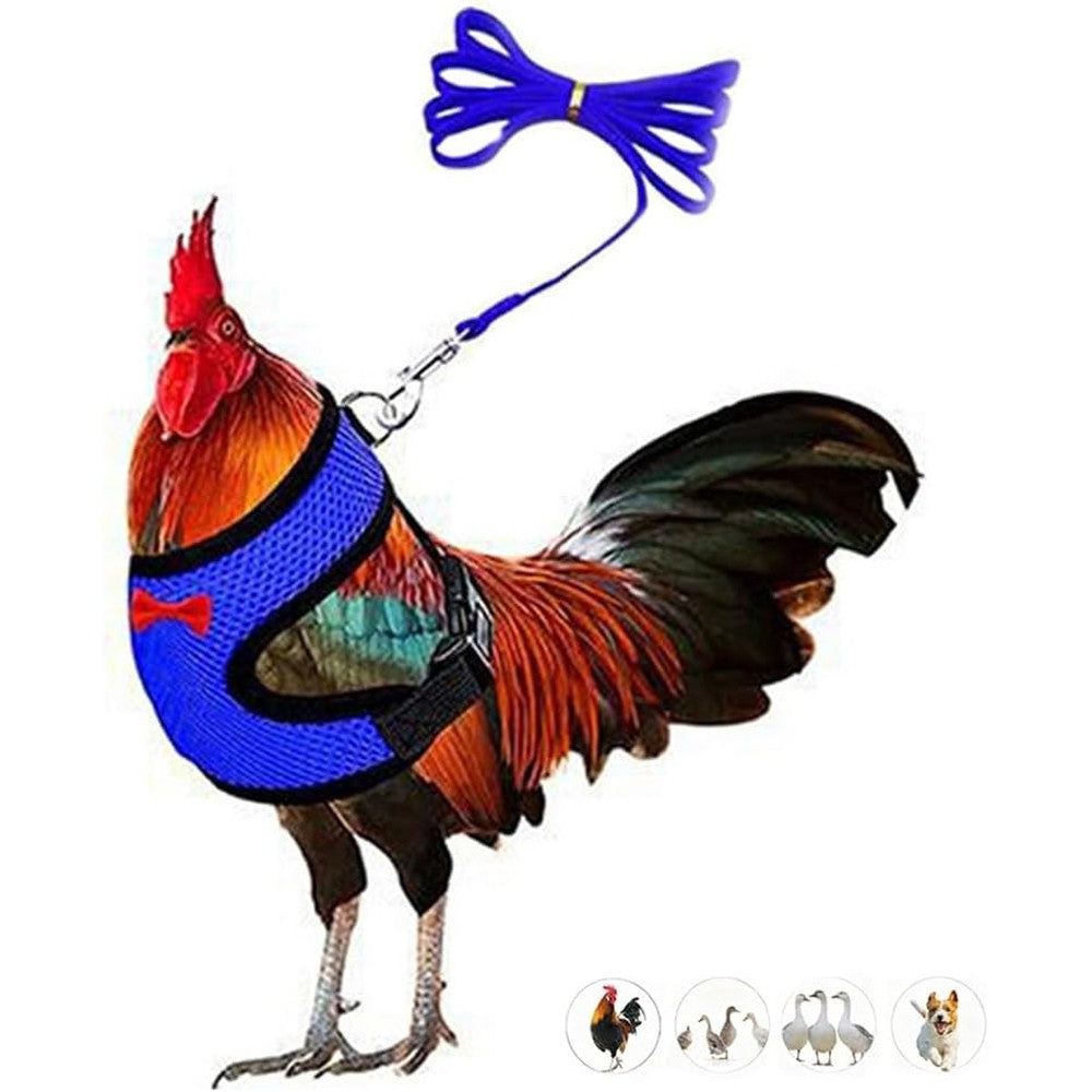 WeimoMonkey Chicken Harness And Leash Set Adjustable Breathable Mesh Vest For Poultry Duck Goose Hen Rooster And Small Pets Blue Medium