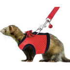 Rypet small animal harness front view