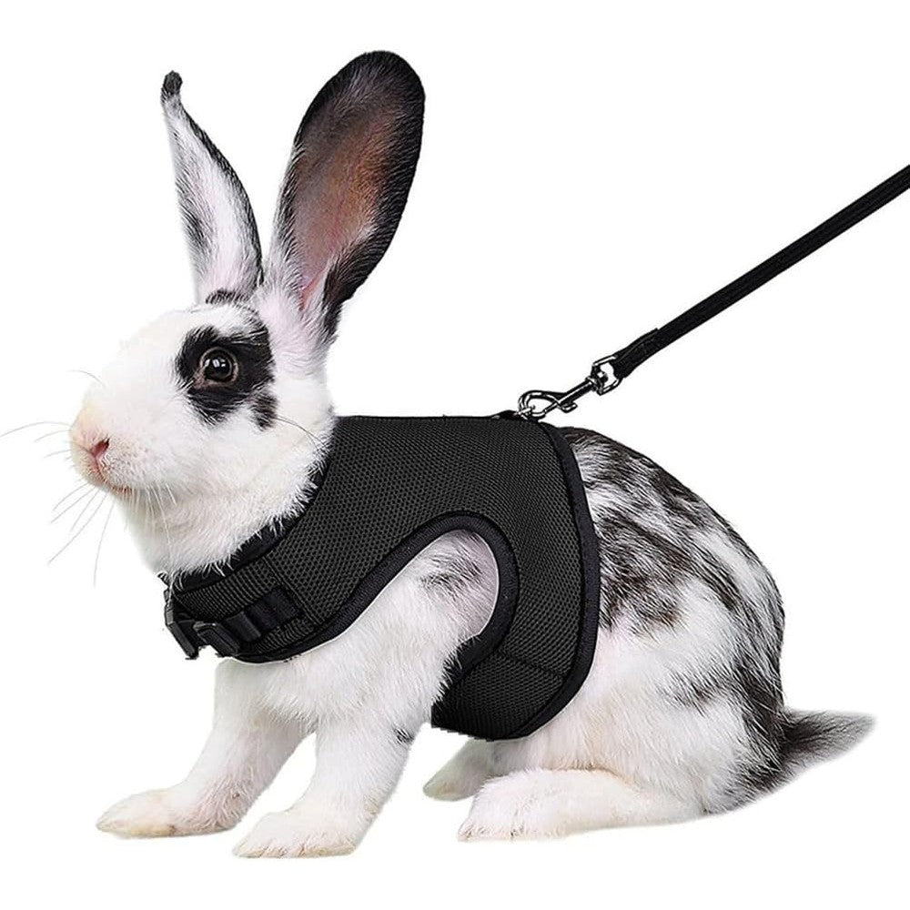 Youalso Black Bunny Harness And Leash Set Escape Proof Small Animal Vest Clothes For Young Rabbits Ferrets And Guinea Pigs Size Medium