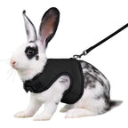 Youalso Black Bunny Harness And Leash Set Escape Proof Small Animal Vest Clothes For Young Rabbits Ferrets And Guinea Pigs Size Medium