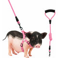 SANQOUYTT Mini Pig Harness And Leash Set Adjustable Potbelly Pet Pig Walking Training Gear Infinity Style Lead Pink Small Size