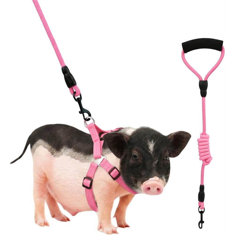 SANQOUYTT Mini Pig Harness And Leash Set Adjustable Potbelly Pet Pig Walking Training Gear Infinity Style Lead Pink Small Size