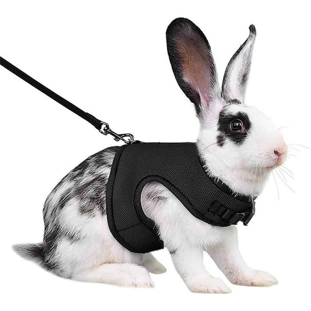 Teleyi Escape Proof Rabbit Harness And Leash Set Lightweight Mesh Small Pet Vest Clothes For Guinea Pig Ferret Kitten Black Medium