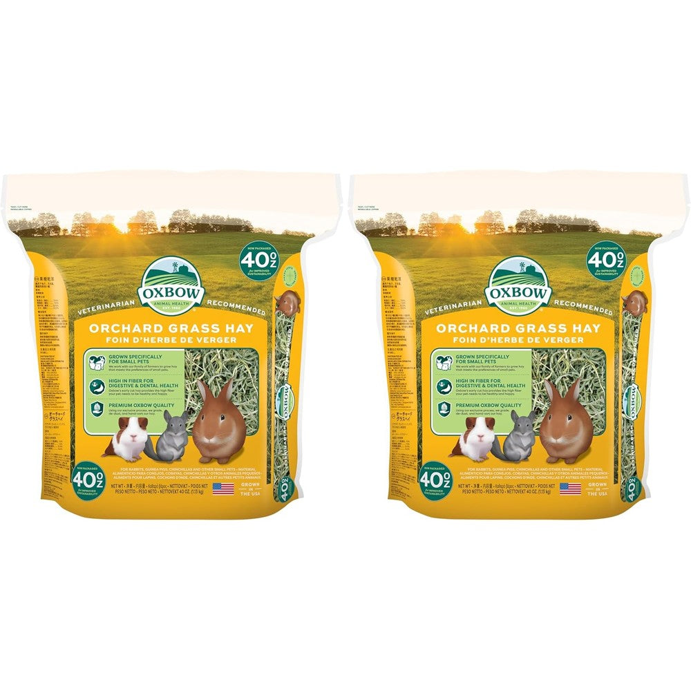 Oxbow Orchard Grass Hay For Small Pets All Natural Long Strand Fiber For Rabbits Guinea Pigs And Chinchillas 40 Ounce Bag Pack Of 2