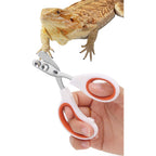 Engorgio Stainless Steel Bearded Dragon Nail Clippers And Lizard Claw Scissors For Small Reptiles And Hedgehogs Orange Variant