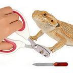 FurryShell Professional Stainless Steel Bearded Dragon Nail Clippers And File Pet Grooming Tool Set For Lizards Turtles And Chameleons