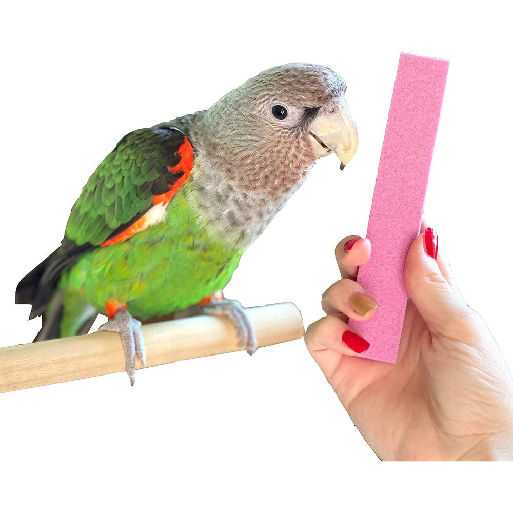 Parrot Wizard parrot nail trimmer stone front view grooming accessory