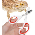 Quilax Stainless Steel Bearded Dragon Nail Clippers Scissor Style Pet Claw Trimmer For Small Reptiles Lizards Turtles And Chameleons 1 Pair