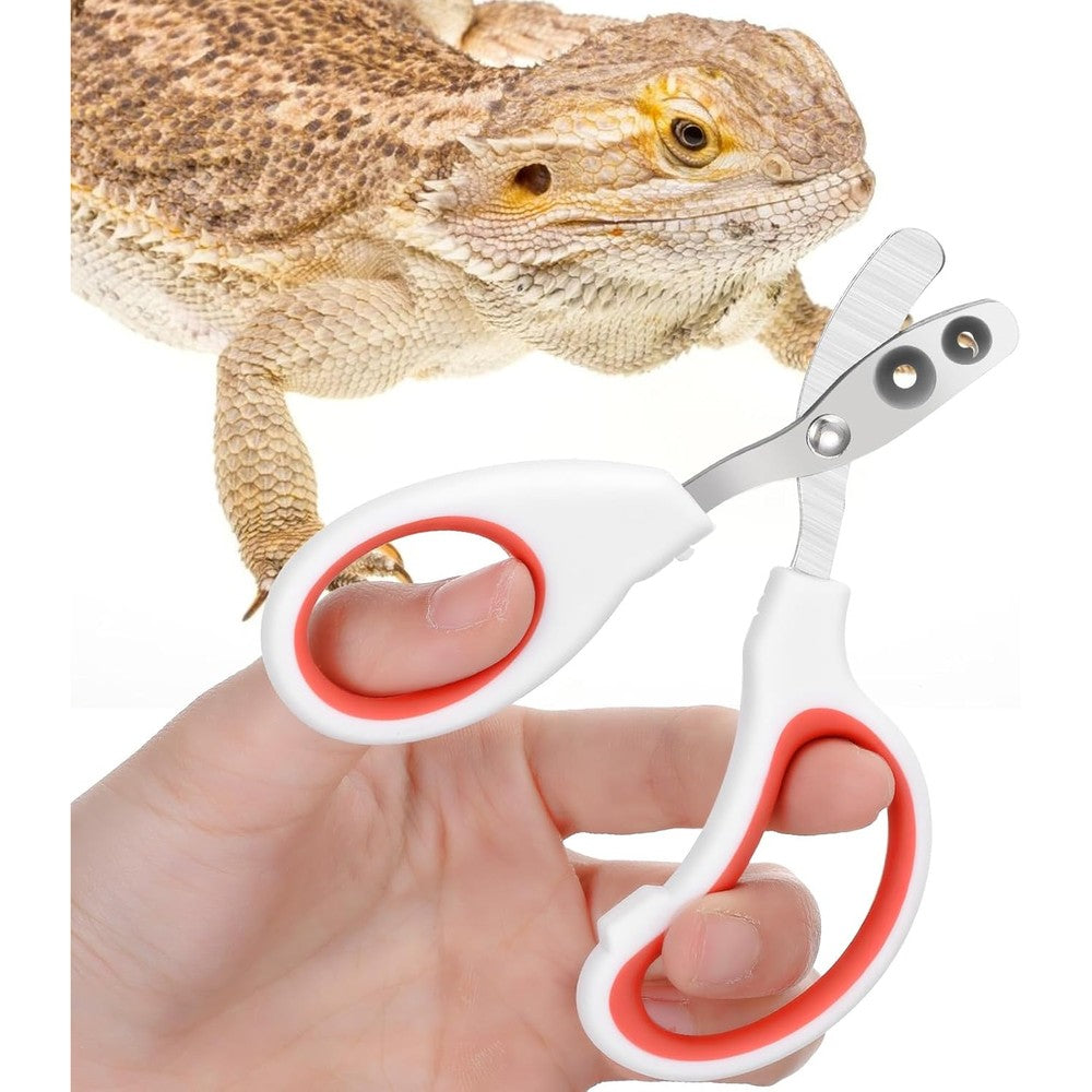 Quilax Stainless Steel Bearded Dragon Nail Clippers Scissor Style Pet Claw Trimmer For Small Reptiles Lizards Turtles And Chameleons 1 Pair