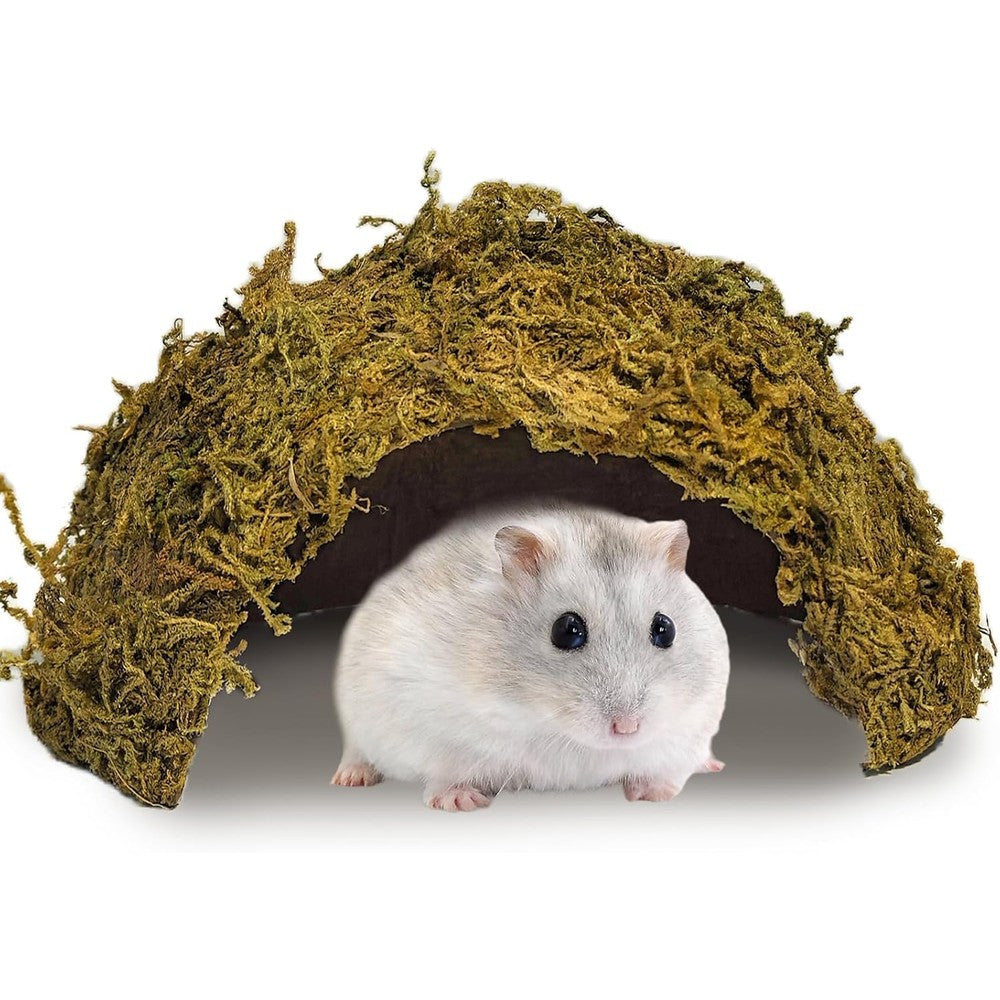 kathson 1Pcs Hamster Hideout, Moss Coconut Hut, Pet Hiding House, Hamster House for Mouse Mice Rat Guinea Pigs Reptiles