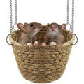 Jevnd Natural Grass Rat Hammock For Cage Tightly Woven Non Collapse Rodent Hanging Bed For Small Animals Two Rat Capacity Eight Inch Diameter