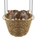 Jevnd Natural Grass Rat Hammock For Cage Tightly Woven Non Collapse Rodent Hanging Bed For Small Animals Two Rat Capacity Eight Inch Diameter
