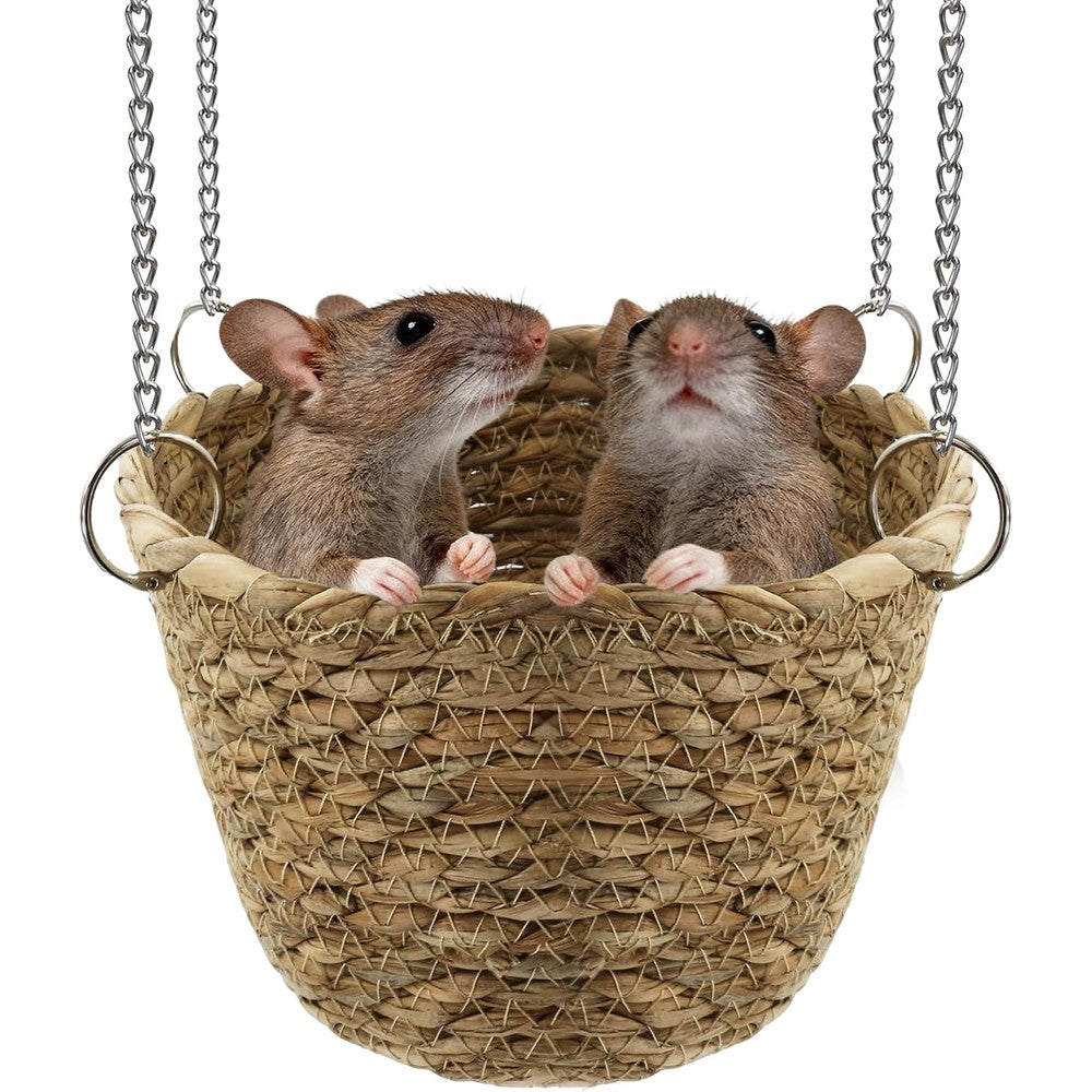 Jevnd Natural Grass Rat Hammock For Cage Tightly Woven Non Collapse Rodent Hanging Bed For Small Animals Two Rat Capacity Eight Inch Diameter