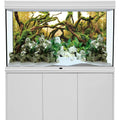 AWERT Aquarium Background Branches And Aquatic Plant River Bed Underwater Fish Tank Poster Premium Non Glare Vinyl Backdrop 48 By 24 Inches