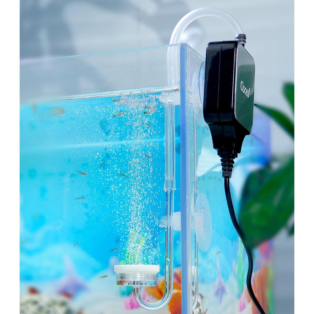 Clscea Small Air Pump For Fish Tank Aquarium Aerator For One To Fifteen Gallons Super Quiet One Point Five Watts Complete Kit With Acrylic Diffuser